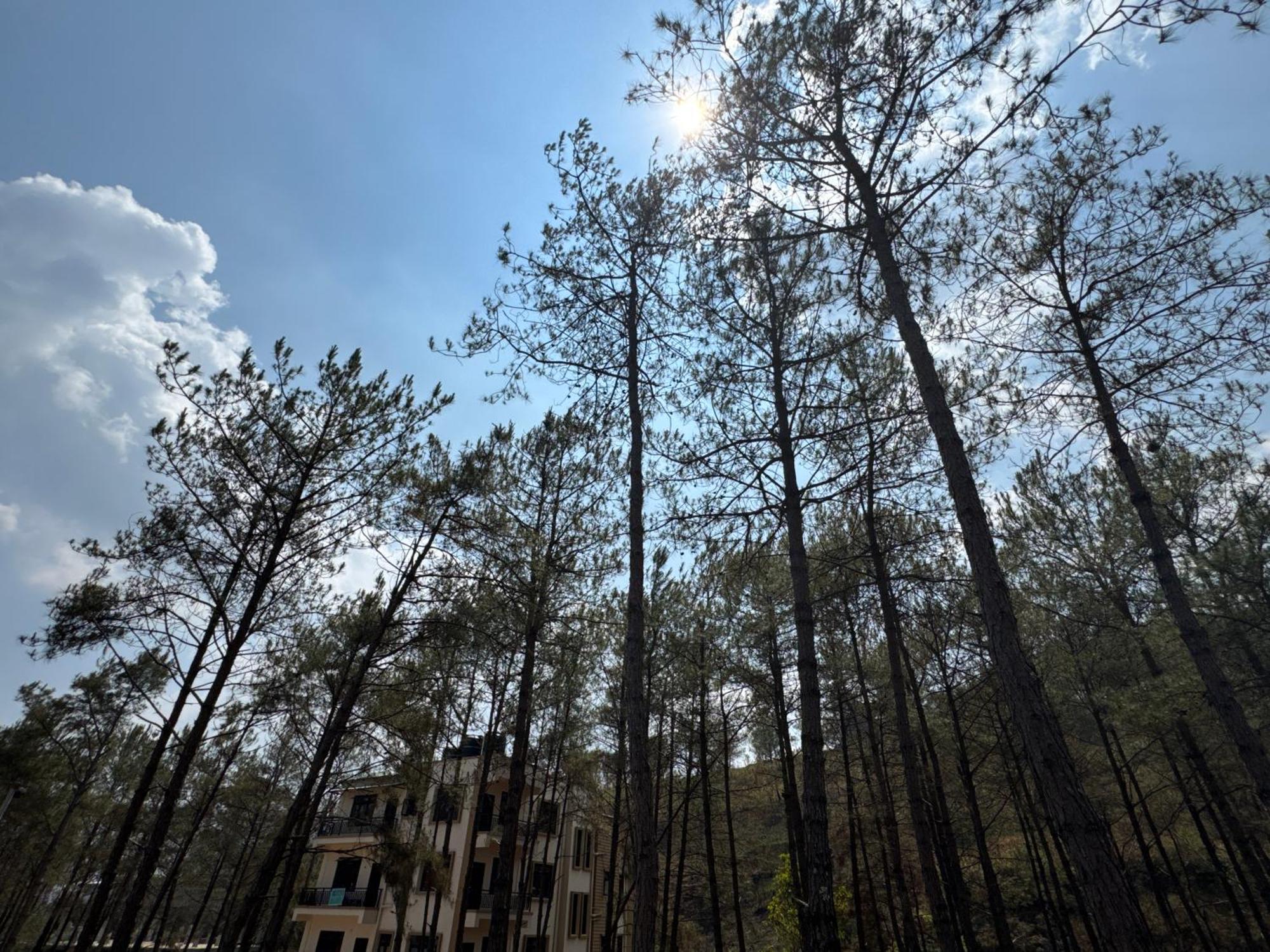 Xtsy Travellers Hostel Shillong Exteriör bild