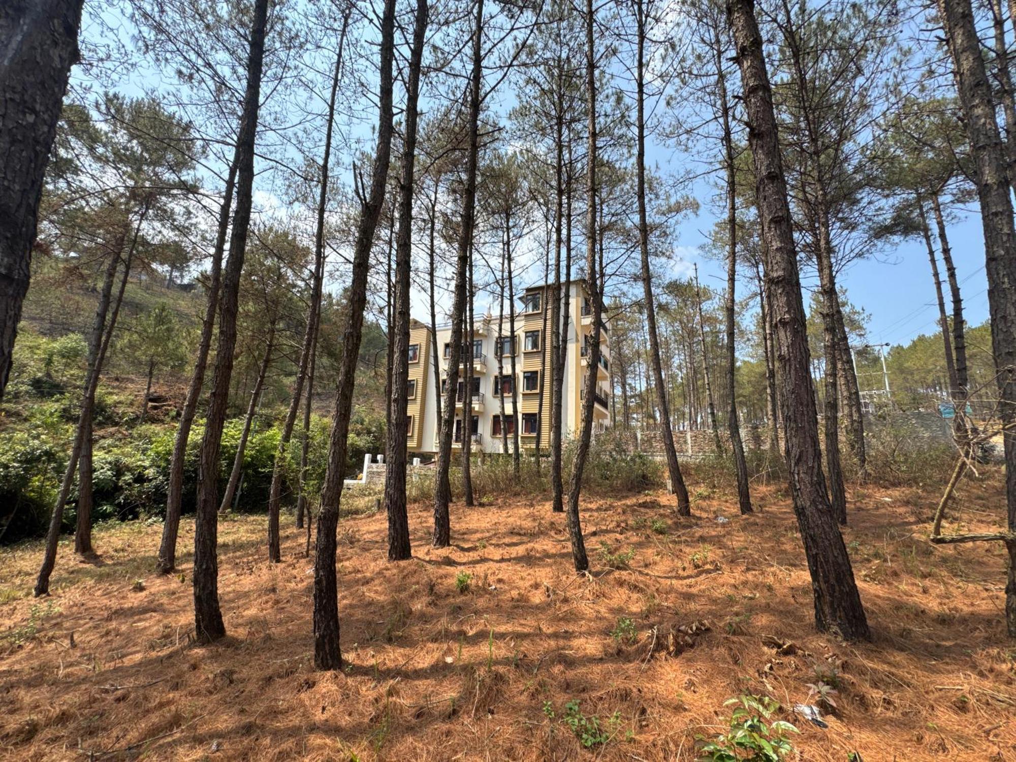 Xtsy Travellers Hostel Shillong Exteriör bild