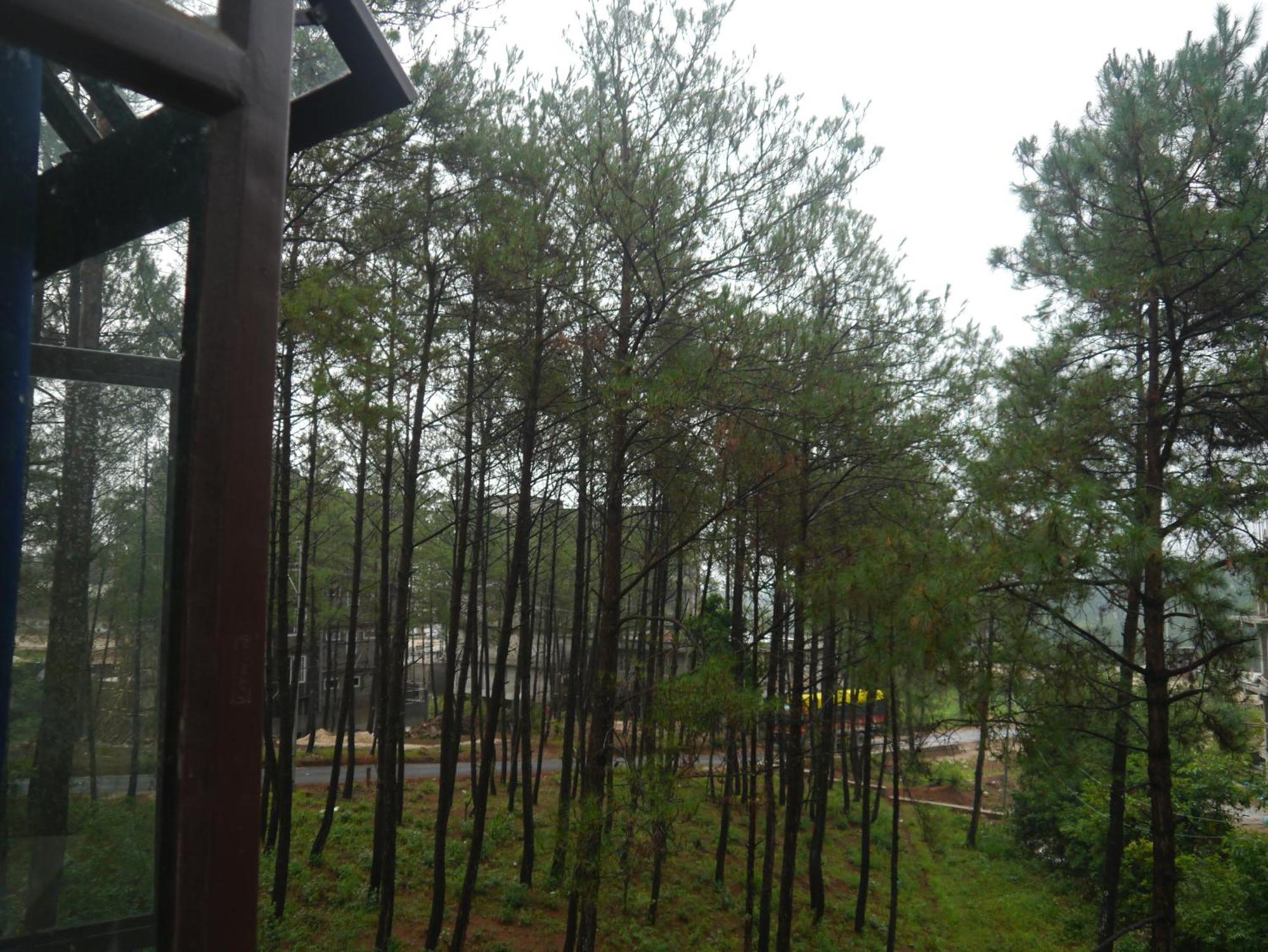 Xtsy Travellers Hostel Shillong Exteriör bild