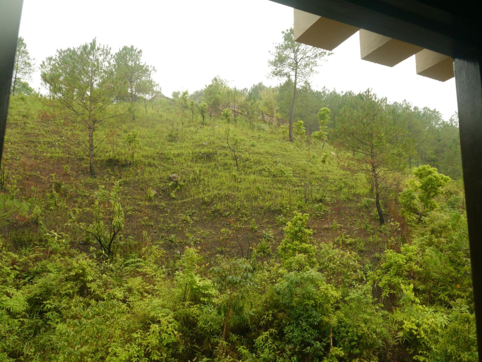 Xtsy Travellers Hostel Shillong Exteriör bild